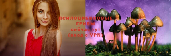 гидра Белоозёрский