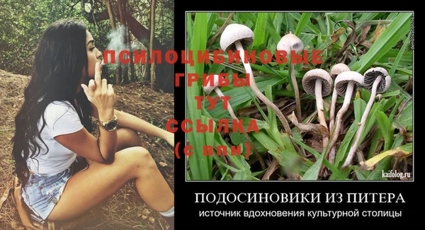 марки nbome Белокуриха