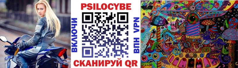 Псилоцибиновые грибы MAGIC MUSHROOMS  Купить закладки  Ветлуга 